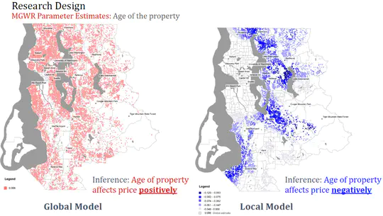 Local Modeling Perspectives on Scale Issues